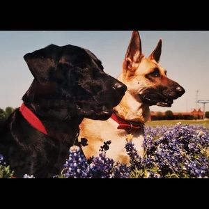 Meet your Posher, Caleb